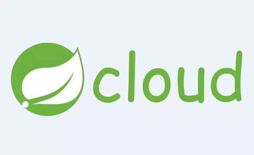 Spring Cloud在国内中小型互联网销售公司的应用可行性分析