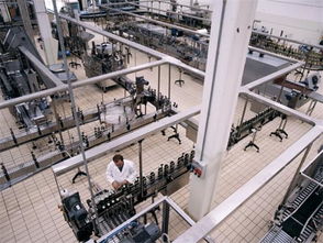 探索意大利庄园橄榄油的进口全流程