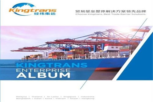 湛江企业在国内贸易代理中规避平轧反倾销风险的策略分析